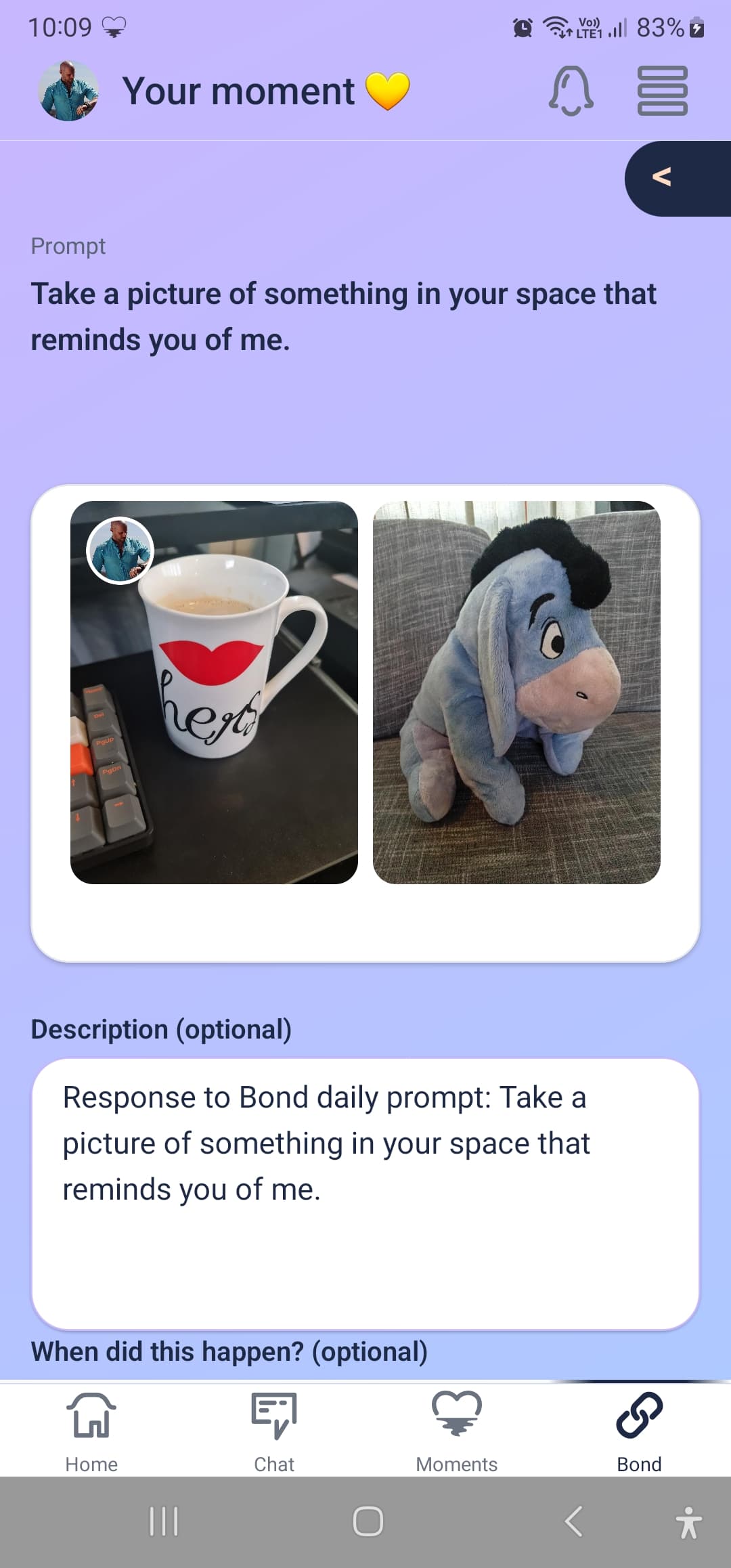 BridgeLDR app preview 2