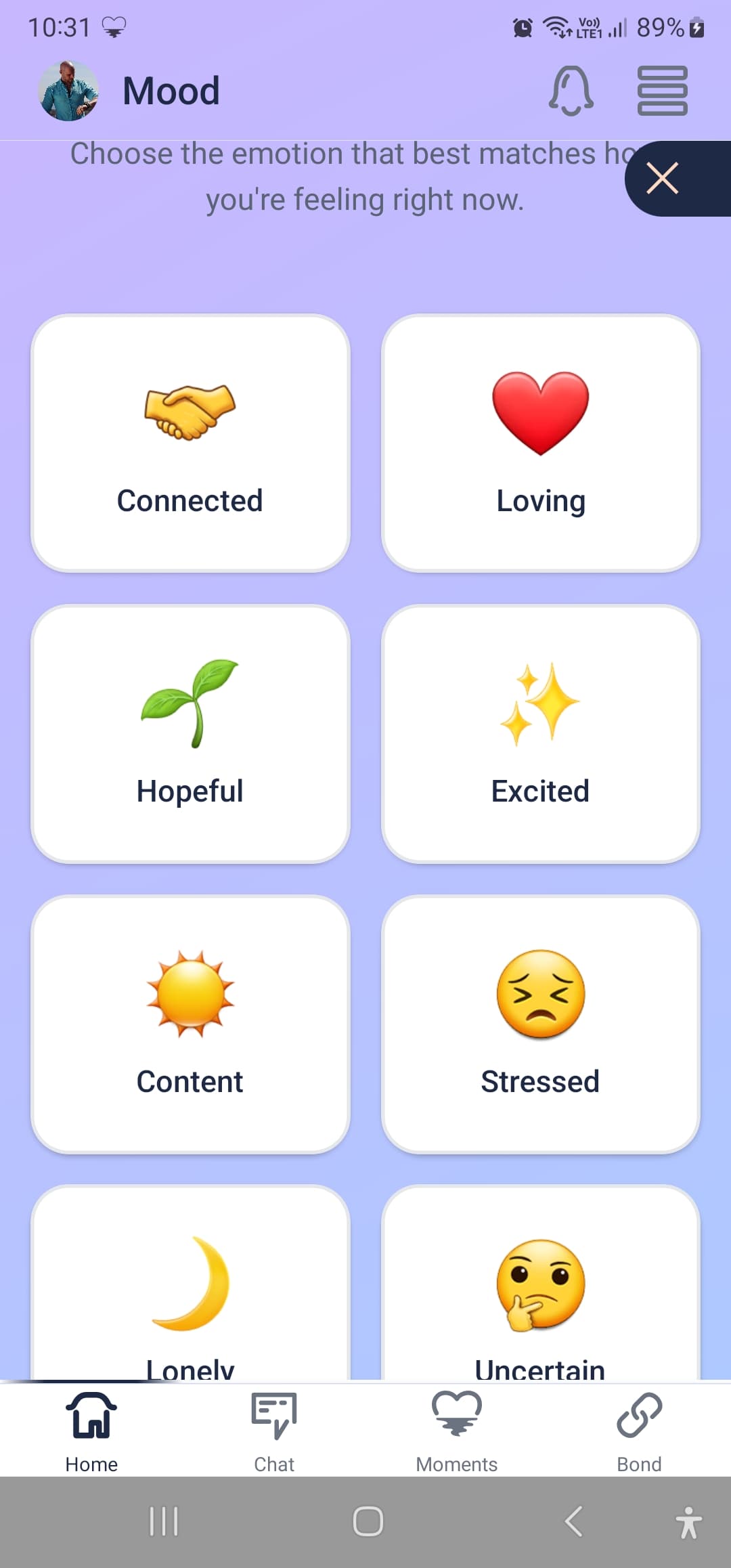 BridgeLDR app preview 5